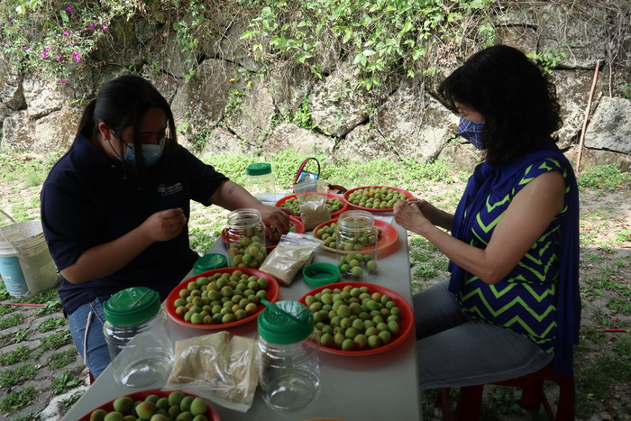 1110422-梅嶺走讀第二梯圖片