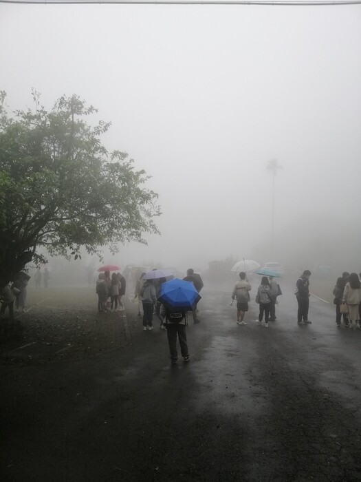 1110404-梅嶺走讀圖片