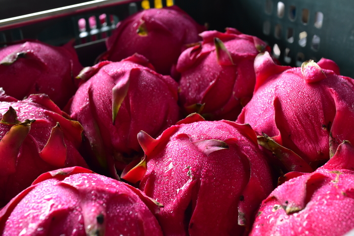 1091114-中華醫大IUSR「善循環」再度推進東山區大客里及東山里圖片